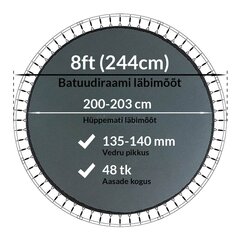 Batuudi hüppematt Active24 8ft, 244cm, 8-48/138 цена и информация | Батуты | kaup24.ee