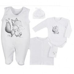 Комплект детской одежды Köala Baby Foxy 09-711/09-715 цена и информация | Комплекты одежды для новорожденных | kaup24.ee