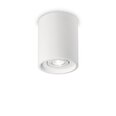 Потолочный светильник Oak Pl1 Round Bianco 150420