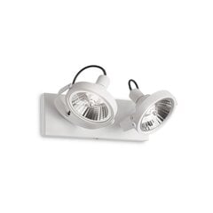 Потолочно-настенный светильник Glim Pl2 Bianco 200200 цена и информация | Потолочные светильники | kaup24.ee