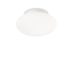 Потолочный светильник Bubble Pl1 135250 цена и информация | Потолочные светильники | kaup24.ee