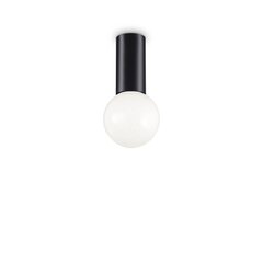 Потолочный светильник Petit Pl1 Nero 232980 цена и информация | Потолочные светильники | kaup24.ee