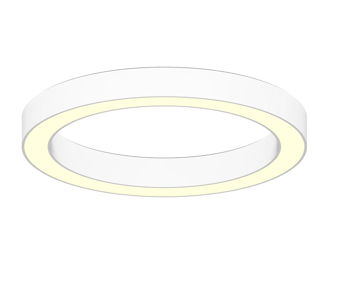 Pind / Riputatud ümmargune LED rõngakujuline valgusti 60W, Ø600mm, valge, dimeriseeritav hind ja info | Laelambid | kaup24.ee