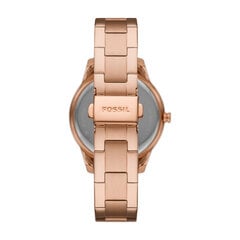 Fossil Stella Sport naiste käekell цена и информация | Женские часы | kaup24.ee