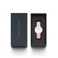 Daniel Wellington Petite 36 Rosewater naiste käekell цена и информация | Naiste käekellad | kaup24.ee