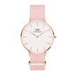 Daniel Wellington Petite 36 Rosewater naiste käekell цена и информация | Naiste käekellad | kaup24.ee