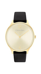 Calvin Klein Timeless 2H женские часы цена и информация | Женские часы | kaup24.ee