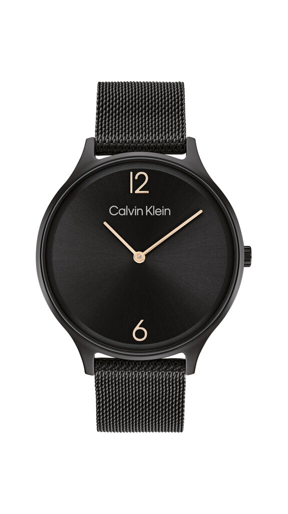 Calvin Klein Timeless 2H naiste käekell hind ja info | Naiste käekellad | kaup24.ee