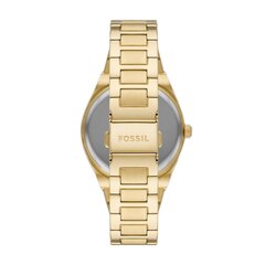 Fossil Scarlette женские часы цена и информация | Женские часы | kaup24.ee