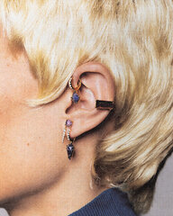Naiste kõrvarõngad Pdpaola, kullatud Fuji Sodalite PG01-683-U sPD0602 hind ja info | Kõrvarõngad | kaup24.ee