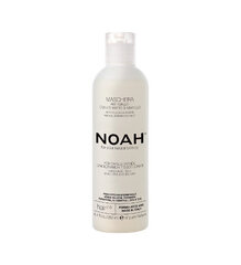 Juuksemask blondidele, hallidele, valgetele või pleegitatud juustele. mustikaekstraktiga NOAH 250ml цена и информация | Маски, масла, сыворотки | kaup24.ee