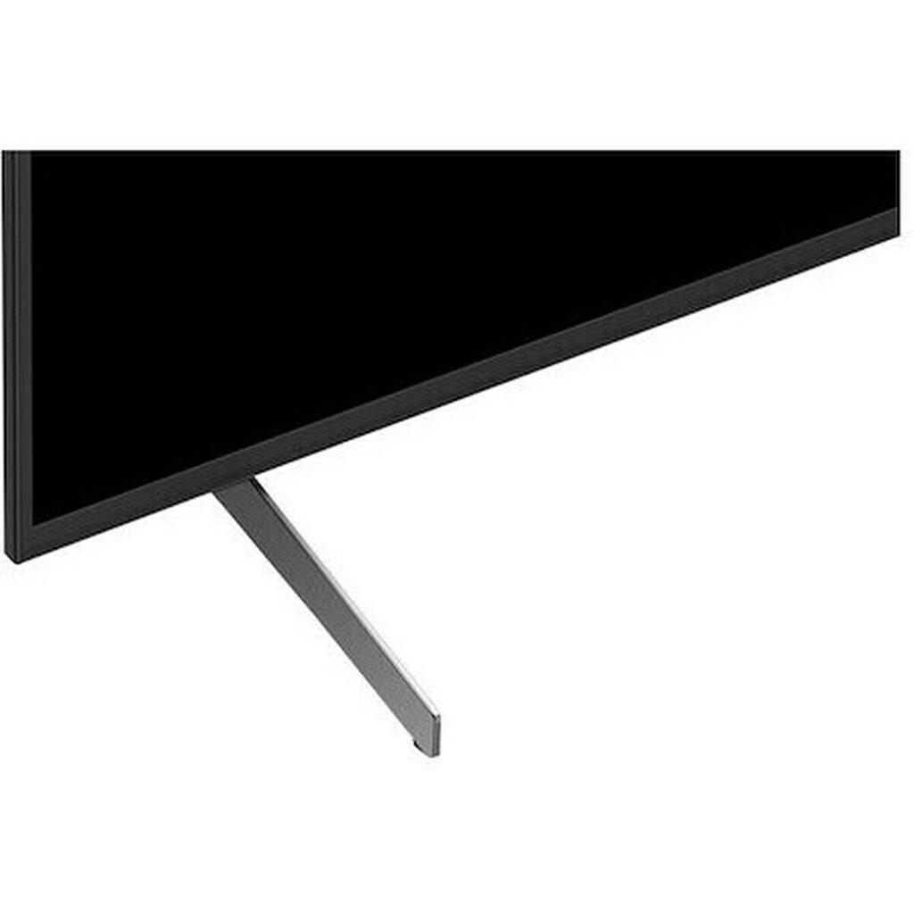 Sony FW-55BZ40H/1 hind ja info | Monitorid | kaup24.ee