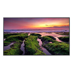 Монитор Videowall Samsung QB50B 50" 3840 x 2160 px цена и информация | Мониторы | kaup24.ee