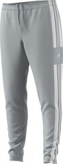 Мужские спортивные штаны Adidas, размер L, серые цена и информация | Футбольная форма и другие товары | kaup24.ee
