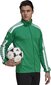 Meeste dressipluus Adidas Squadra 21, roheline XXL hind ja info | Jalgpalli varustus ja riided | kaup24.ee