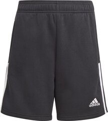 Poiste lühikesed püksid Adidas Tiro 21 Sweat Short Jr GM7343 must, 164 cm hind ja info | Jalgpalli varustus ja riided | kaup24.ee