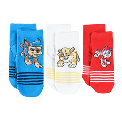 Cool Club sokid poistele Paw Patrol 3 tk, LHB2510102-00 hind ja info | Poiste sukkpüksid ja sokid | kaup24.ee