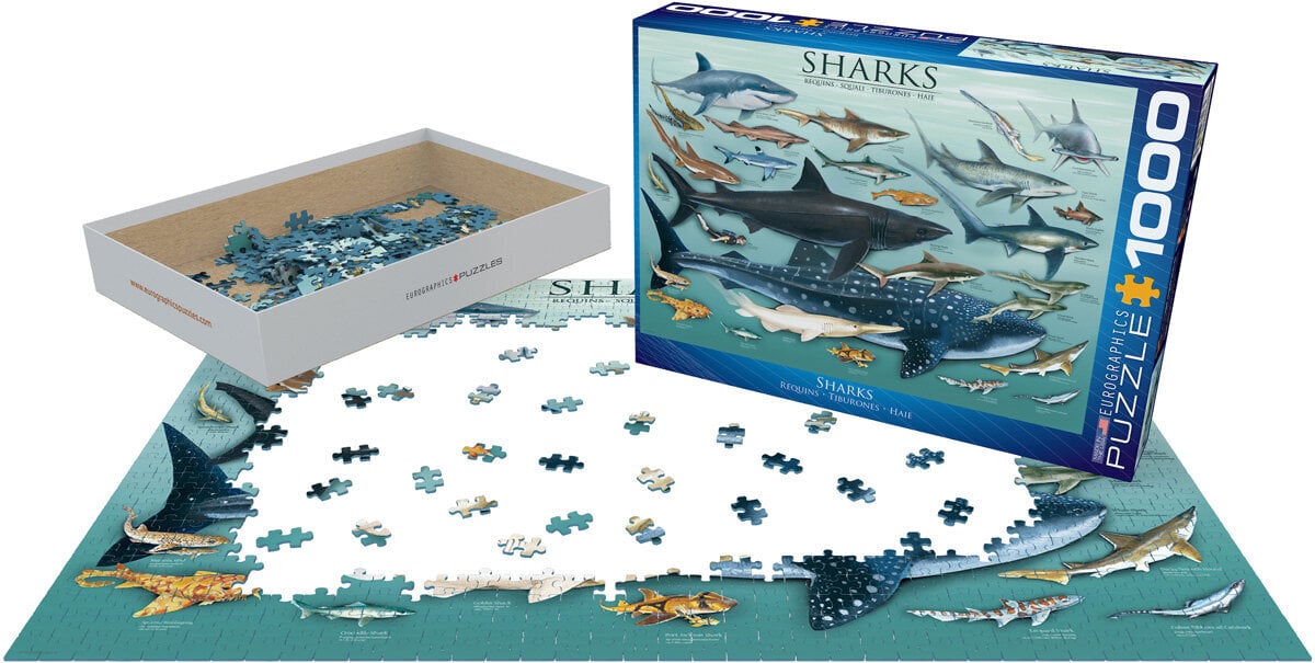 Pusle Eurographics, 6000-0079, Sharks, 1000 tk hind ja info | Pusled | kaup24.ee