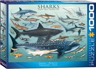 Pusle Eurographics, 6000-0079, Sharks, 1000 tk hind ja info | Pusled | kaup24.ee