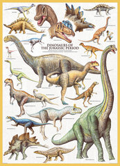 Pusle Eurographics, 6000-0099, Dinosaurs of the Jurassic, 1000 tk цена и информация | Пазлы | kaup24.ee