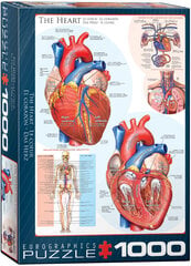 Pusle Eurographics, 6000-0257, The Heart, 1000 tk hind ja info | Pusled | kaup24.ee