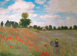 Пазл Eurographics, 6000-0826, Poppy Field, 1000 шт. цена и информация | Пазлы | kaup24.ee