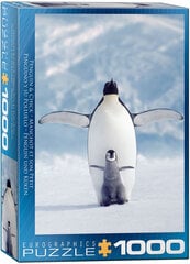 Pusle Eurographics, 6000-1246, Penguin and Chick, 1000 tk цена и информация | Пазлы | kaup24.ee