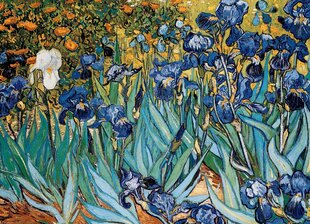 Pusle Eurographics, 6000-4364 ® Irises by Vincent van Gogh hind ja info | Pusled | kaup24.ee