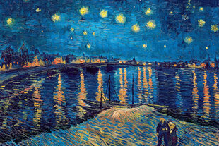 Pusle Eurographics, 6000-5708, The Starry Night Over The Rhone, 1000 tk hind ja info | Pusled | kaup24.ee