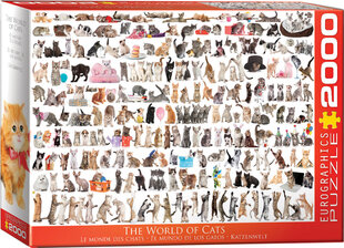 Пазл Eurographics, 8220-0580, The World of Cats, 2000 шт. цена и информация | Пазлы | kaup24.ee