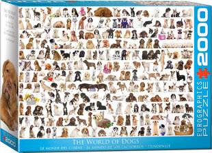 Пазл Eurographics, 8220-0581, The World of Dogs, 2000 шт. цена и информация | Пазлы | kaup24.ee