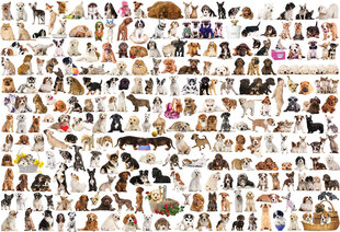 Pusle Eurographics, 8220-0581, The World of Dogs, 2000 tk hind ja info | Pusled | kaup24.ee