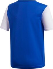 Treeningpusa Adidas Estro 19 Jersey Junior, sinine, 176cm hind ja info | Jalgpalli varustus ja riided | kaup24.ee