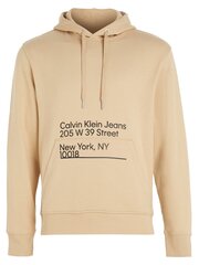 Calvin Klein Jeans Ck Address Logo Travertine 560076156 цена и информация | Мужские толстовки | kaup24.ee