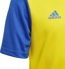Treeningsärk Adidas Estro 19 Jersey Junior, kollane, 128cm hind ja info | Jalgpalli varustus ja riided | kaup24.ee
