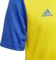 Treeningsärk Adidas Estro 19 Jersey Junior, kollane, 128cm цена и информация | Jalgpalli varustus ja riided | kaup24.ee