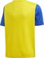 Treeningsärk Adidas Estro 19 Jersey Junior, kollane, 128cm цена и информация | Jalgpalli varustus ja riided | kaup24.ee