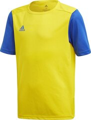 Treeningsärk Adidas Estro 19 Jersey Junior, kollane, 128cm hind ja info | Jalgpalli varustus ja riided | kaup24.ee