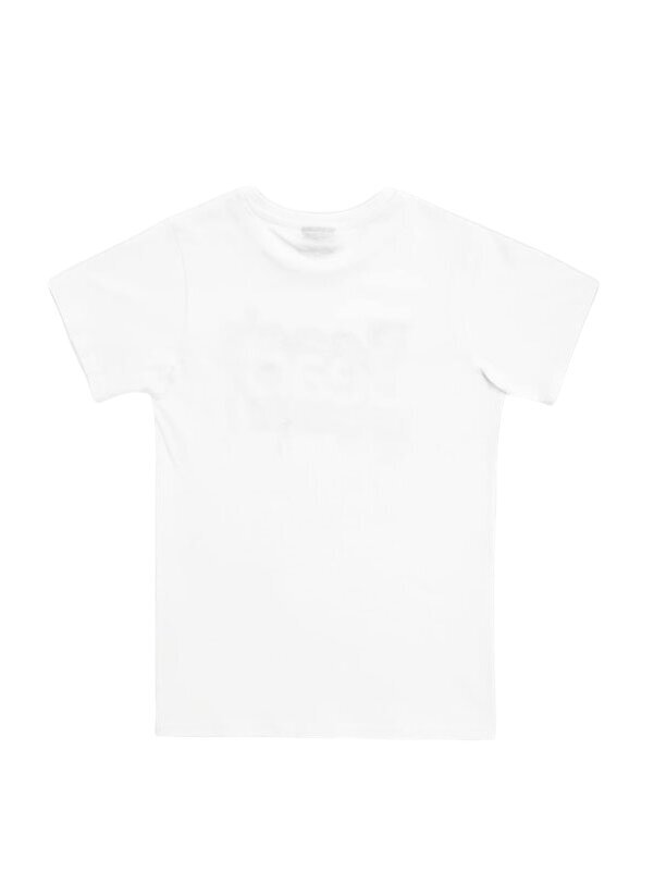 Särk Brums T-Shirt Jersey C/stampa Fluo 520088266 цена и информация | Poiste särgid | kaup24.ee