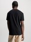Meeste särk Calvin Klein Jeans Varsity Curve Logo Black 560076627 hind ja info | Meeste T-särgid | kaup24.ee