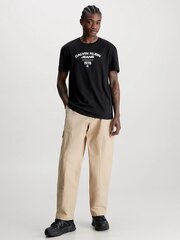 Meeste särk Calvin Klein Jeans Varsity Curve Logo Black 560076627 цена и информация | Мужские футболки | kaup24.ee