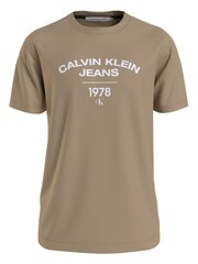 CALVIN KLEIN JEANS Varsity Curve Logo Travertine 560076634 цена и информация | Мужские футболки | kaup24.ee