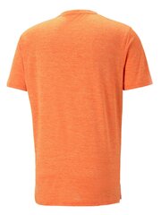 T-särk Puma Train Fav Heather Cat Tee Chili Powder Orange 234238686 hind ja info | Meeste T-särgid | kaup24.ee