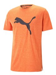 T-särk Puma Train Fav Heather Cat Tee Chili Powder Orange 234238686 hind ja info | Meeste T-särgid | kaup24.ee