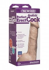 Имитатор пениса Doc Johnson Perfect Erect Realistic Cock цена и информация | Фаллоимитаторы | kaup24.ee