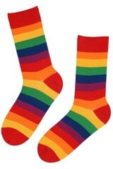 Pride vikerkaare-triibulised puuvillased sokid Pride-40-45 hind ja info | Naiste sokid | kaup24.ee