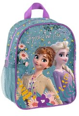Рюкзак детский Paso Ледяная Страна (Frozen) DF23XX-303, разноцветный цена и информация | Школьные рюкзаки, спортивные сумки | kaup24.ee