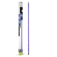 Akvaariumi valgustus Aquael Leddy Tube Actinic LED, 17 W hind ja info | Akvaariumid ja seadmed | kaup24.ee