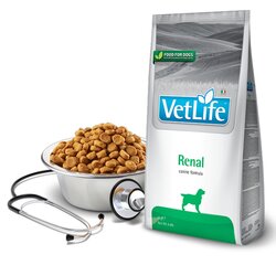 Kuivtoit koertele FARMINA Vet Life Renal Dog, 2kg hind ja info | Kuivtoit koertele | kaup24.ee