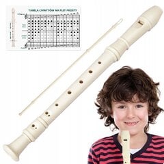 Детский набор флейта+чистящее средство цена и информация | Духовые инструменты | kaup24.ee